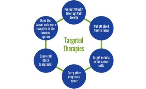 Targeted Therapies by Pediatric Hematologist in India, Dr. Shweta Bansal